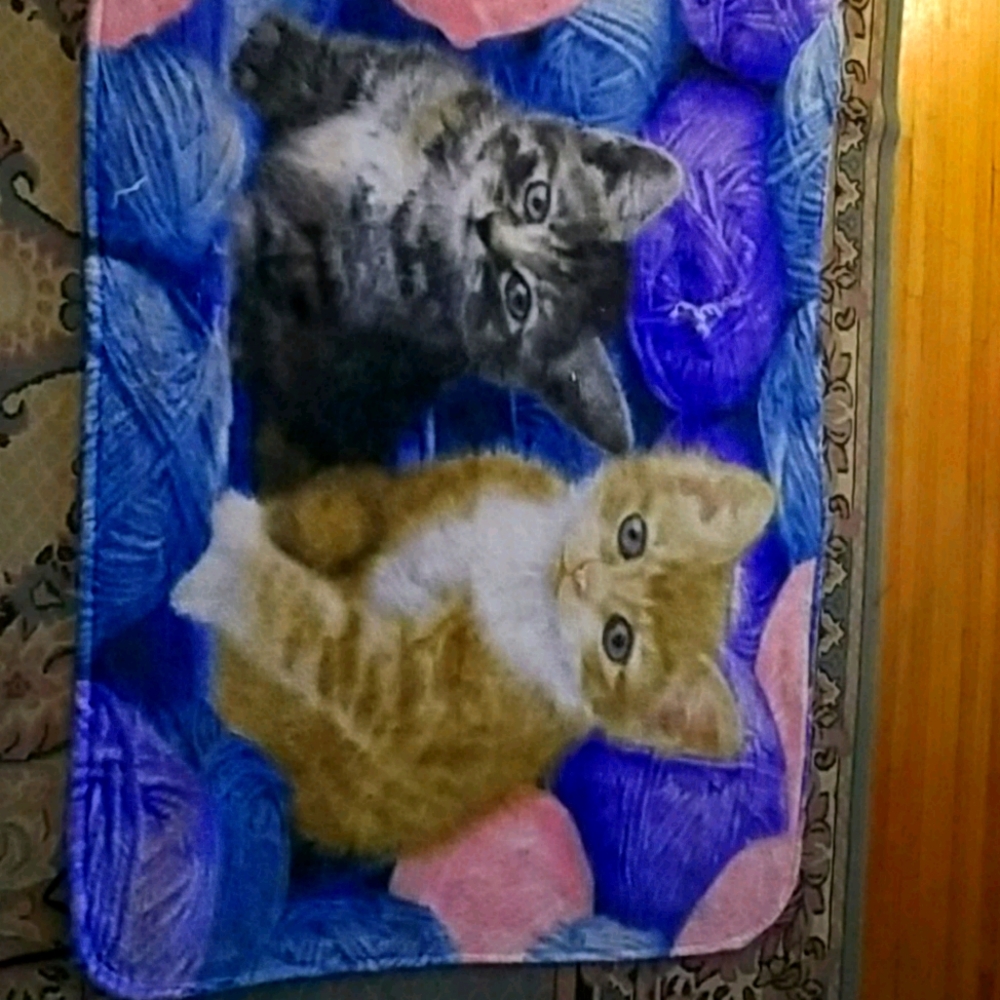 Blanket
